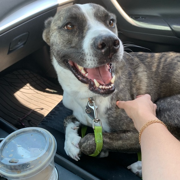 Meet your Posher, Nicole - Picture 9 of 12